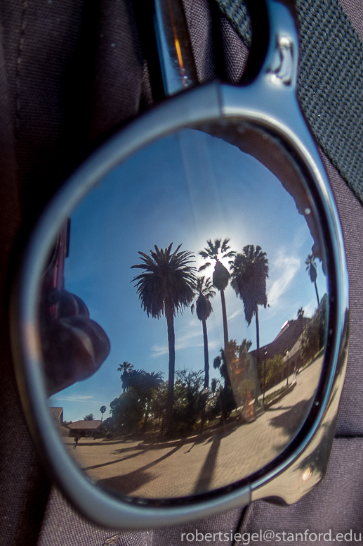 quad reflections